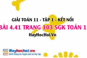 Giải bài 4.41 trang 103 Toán 11 tập 1 SGK Kết nối tri thức